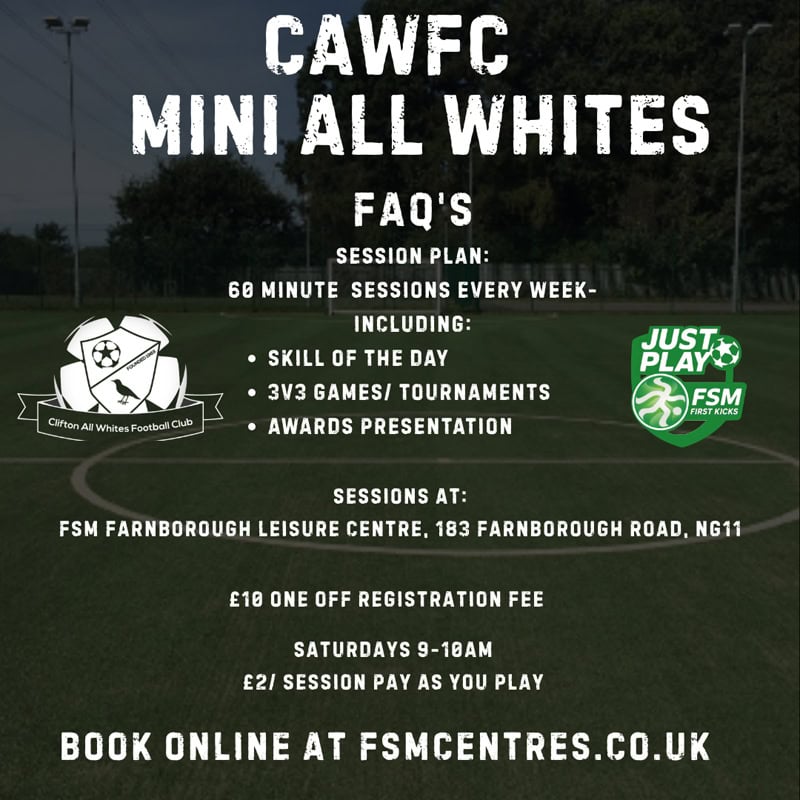 MINI ALL WHITES